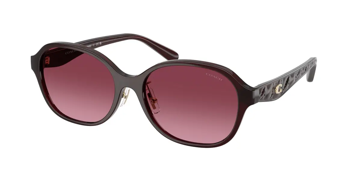Coach Cby85 8445D Sunglasses 1