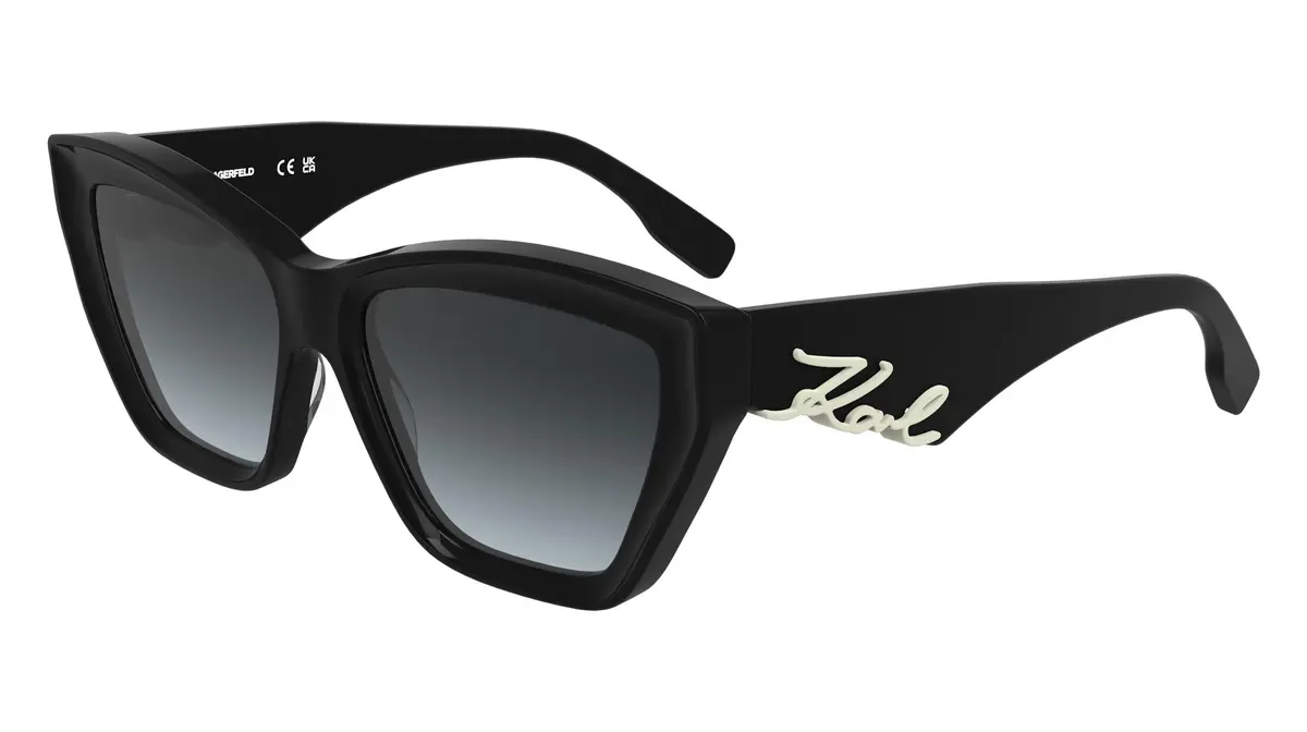 Karl Lagerfeld Kl6179s Sunglasses 1