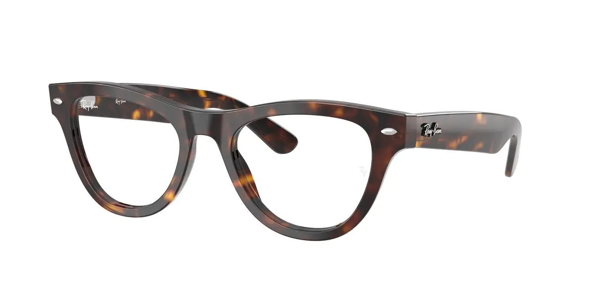 Ray-Ban 5510 Eyeglasses 1