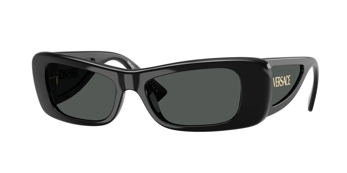 Versace 4481 Sunglasses 1