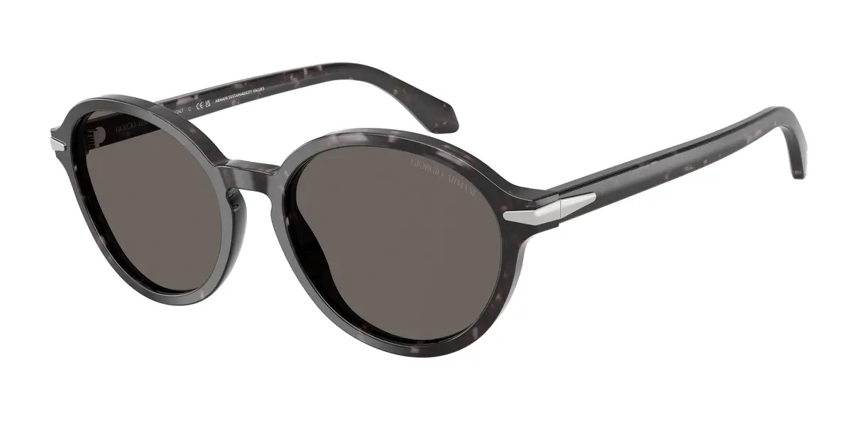 Giorgio Armani 8237 Sunglasses 1