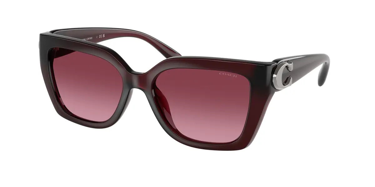 Coach Cw195 8408U Sunglasses 1