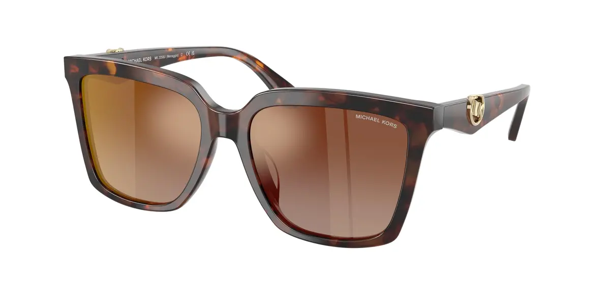 Michael Kors Menaggio 2256U Sunglasses 1