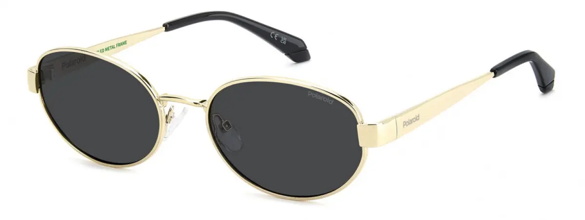 Polaroid Core Pld6254 Sunglasses 1