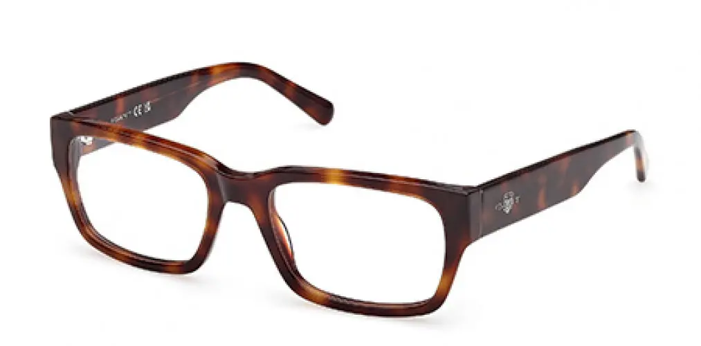 Gant 50073 Eyeglasses 1