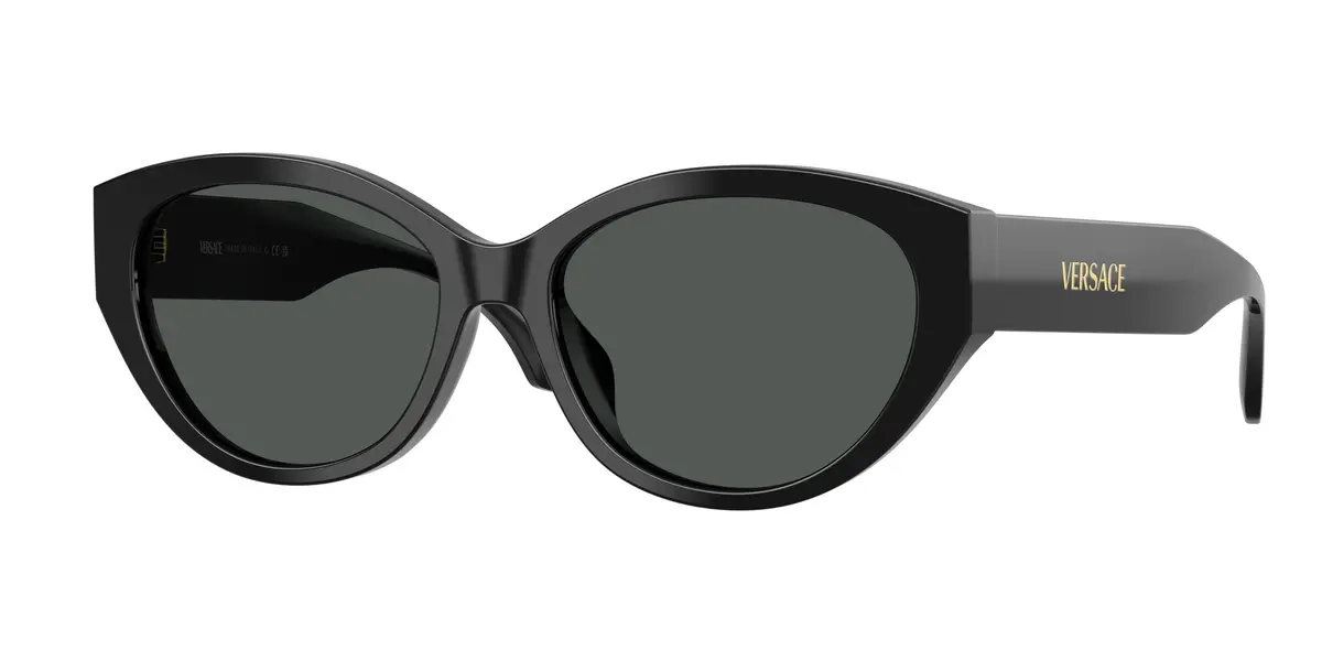 Versace 4495D Sunglasses 1