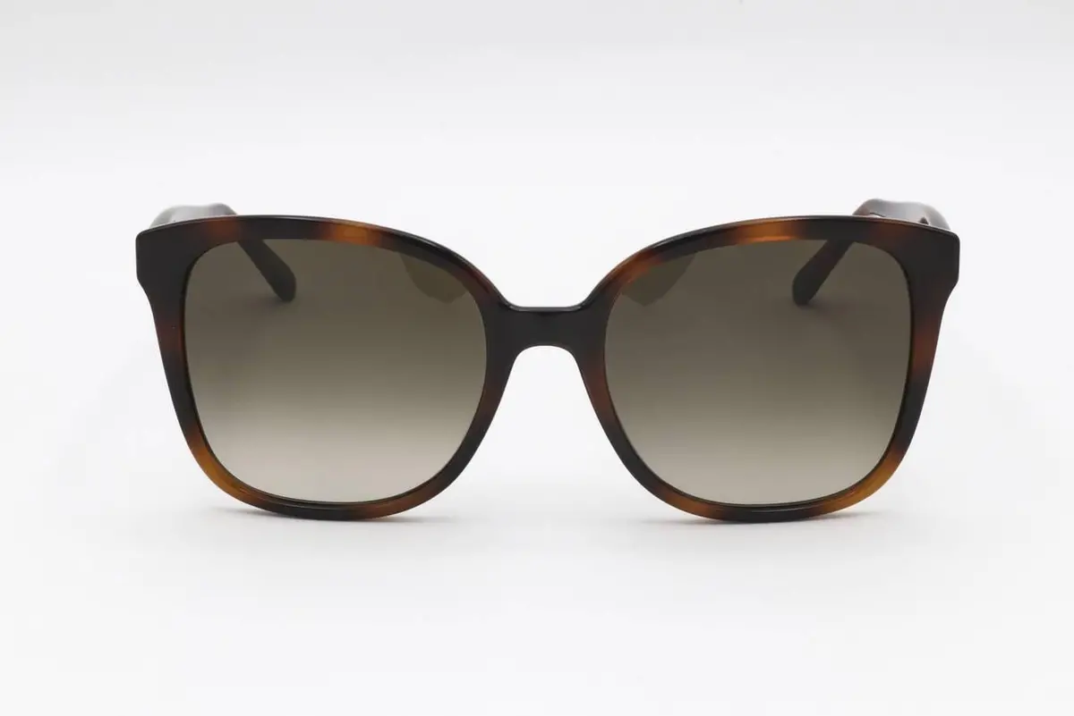 Salvatore Ferragamo Sf1072s Sunglasses 1