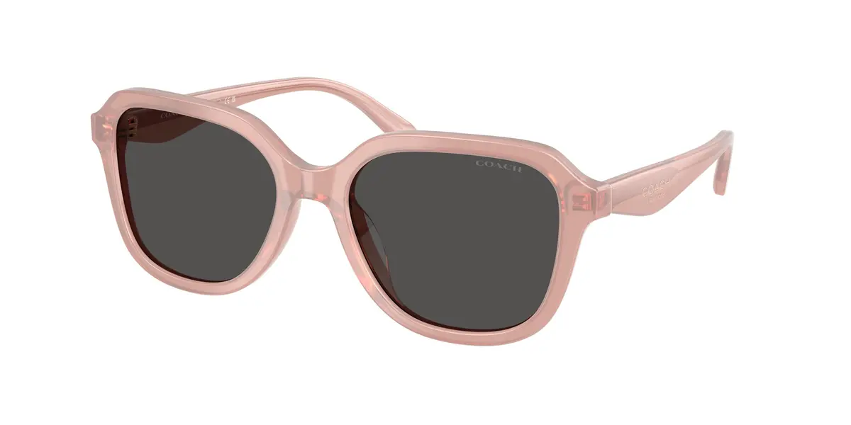 Coach Cby89 8437F Sunglasses 1