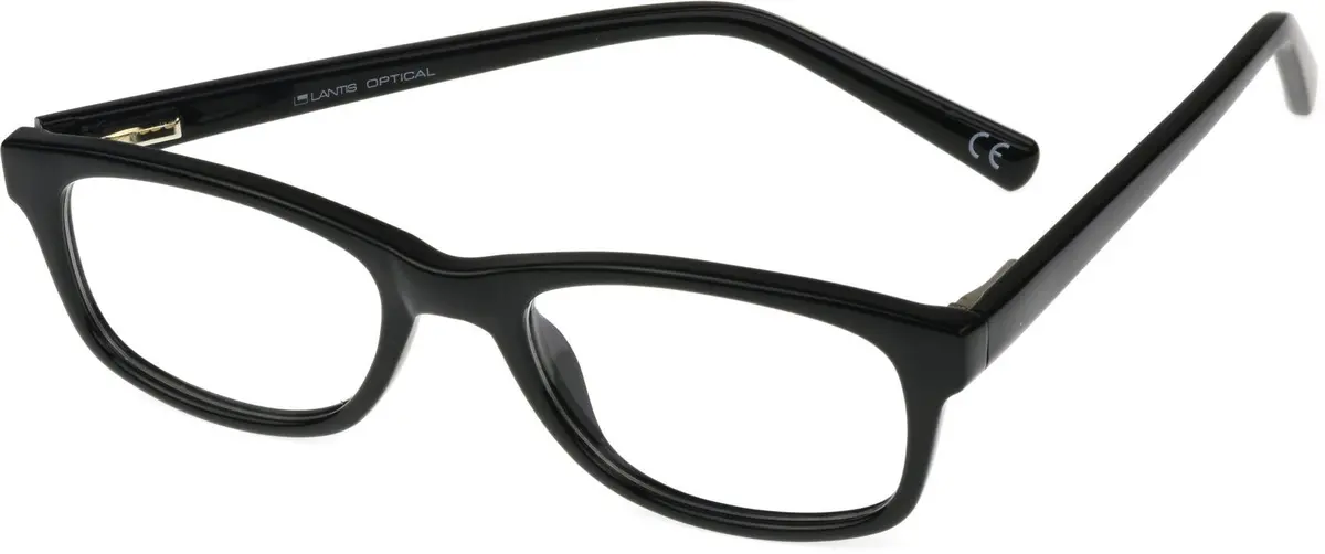 Lantis Optical L8029 Eyeglasses 1