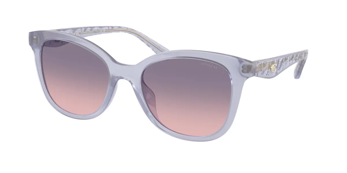 Coach Cad25 8419U Sunglasses 1