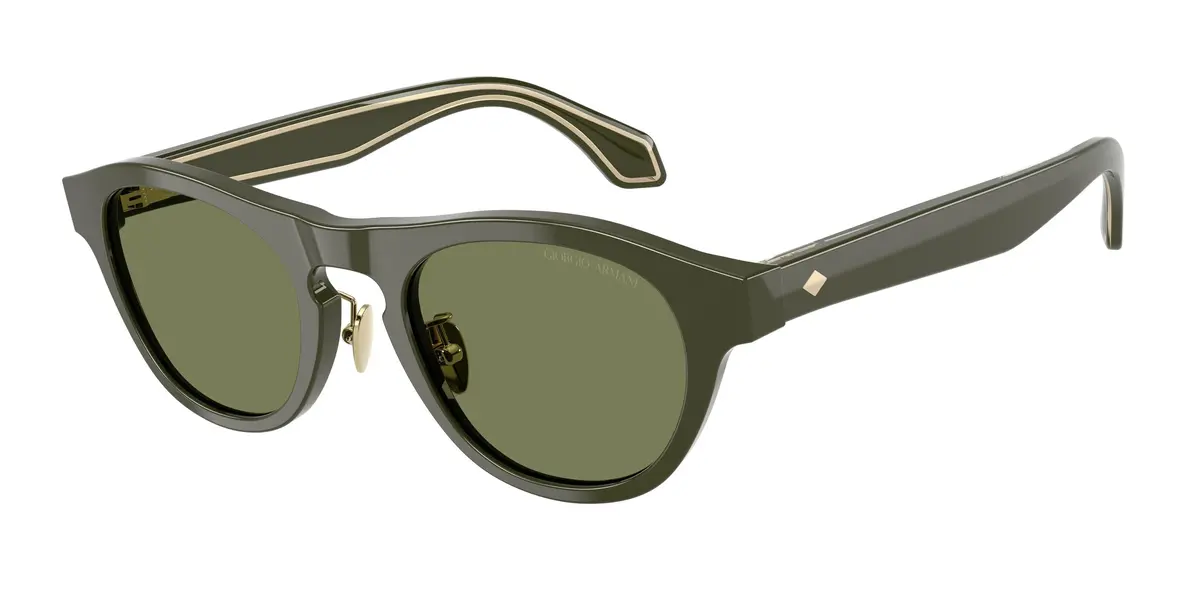 Giorgio Armani 8225 Sunglasses 1