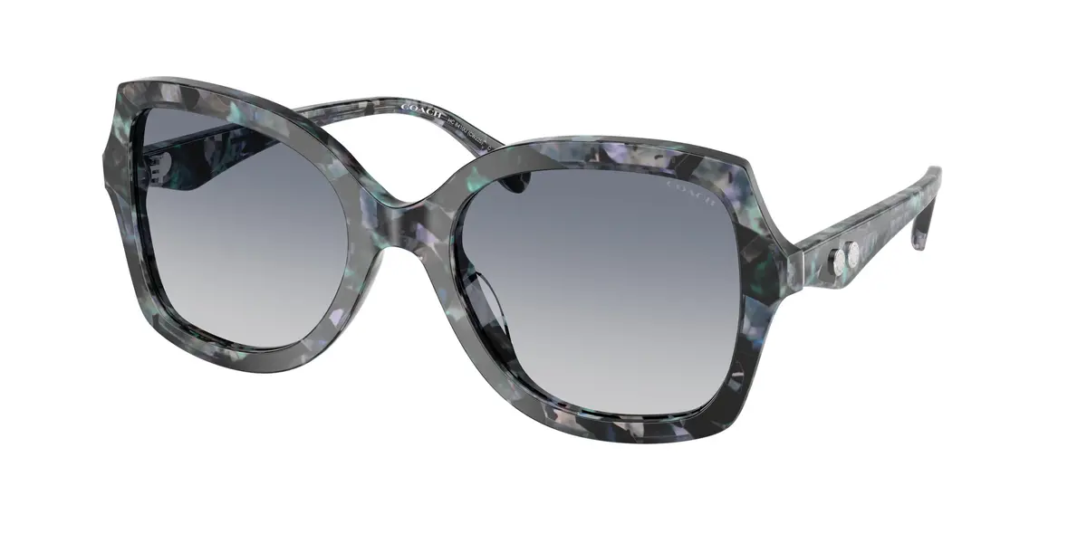 Coach Cw225 8410U Sunglasses 1