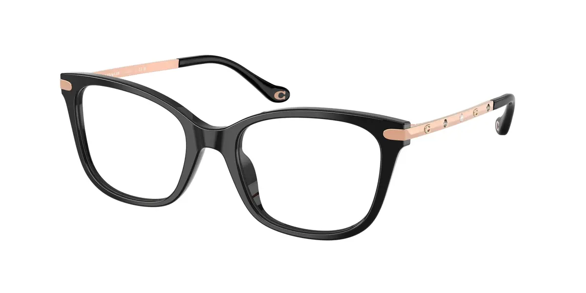 Coach 6261Bu Eyeglasses 1