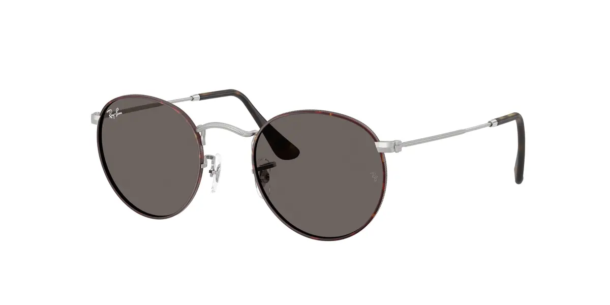Ray-Ban Round Metal 3447 Sunglasses 1