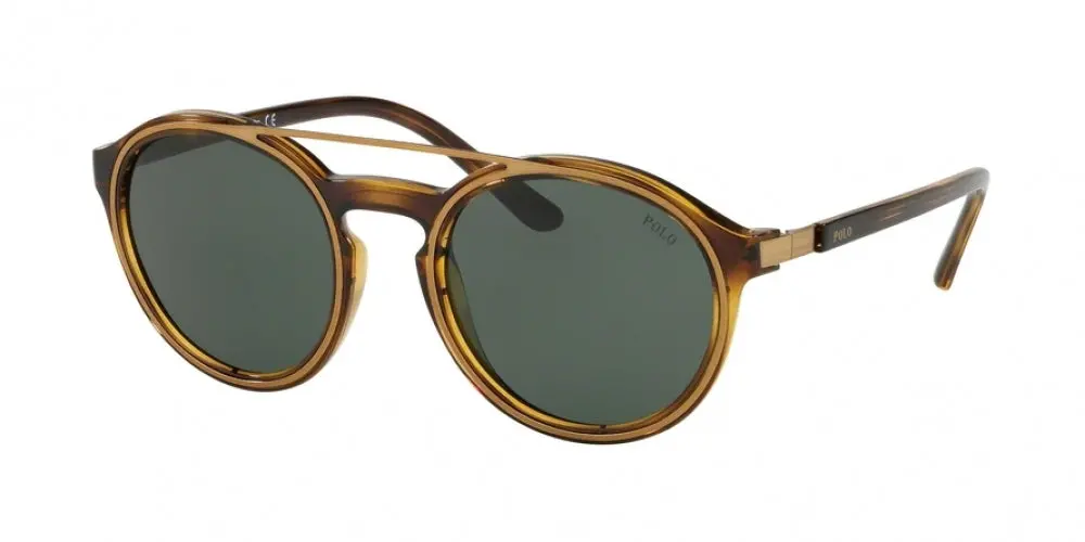 Polo 4139 Sunglasses 1