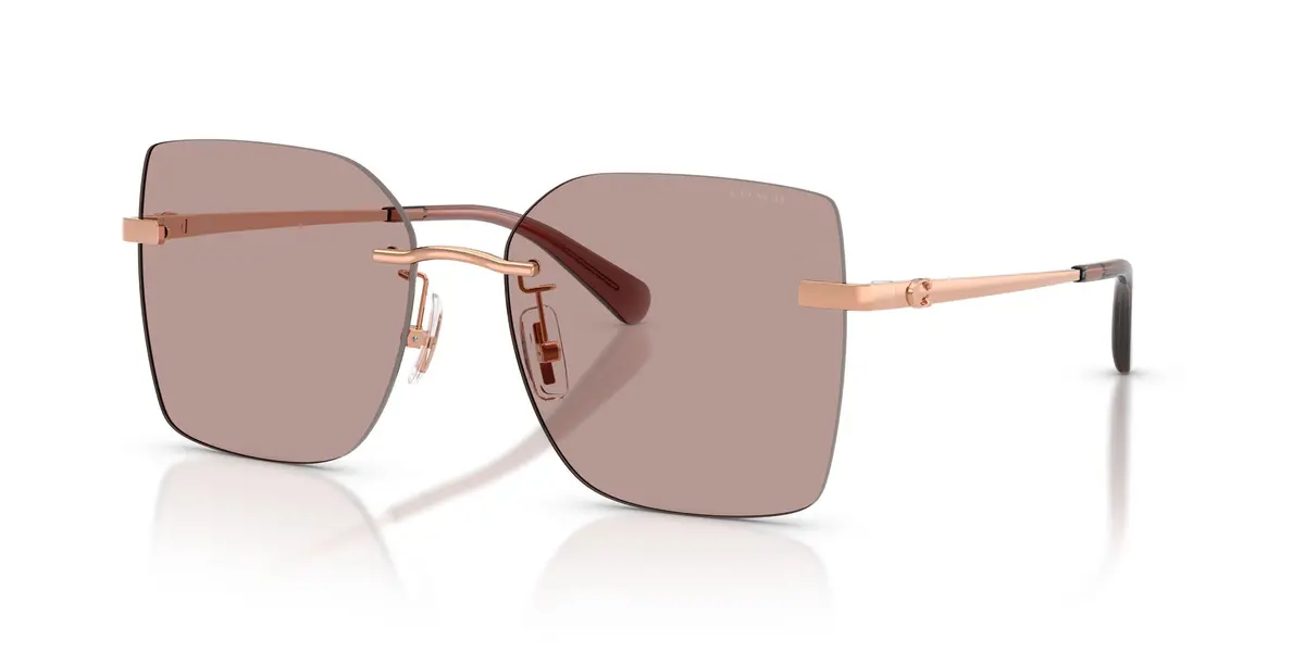 Coach Cdp45 7193D Sunglasses 1