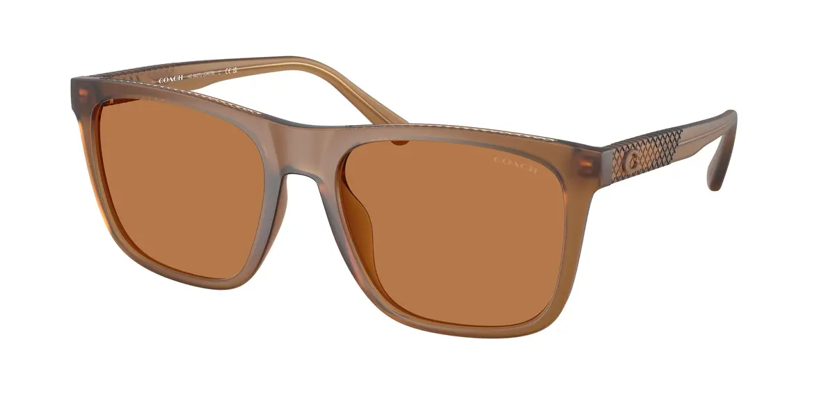 Coach Cae78 8427U Sunglasses 1