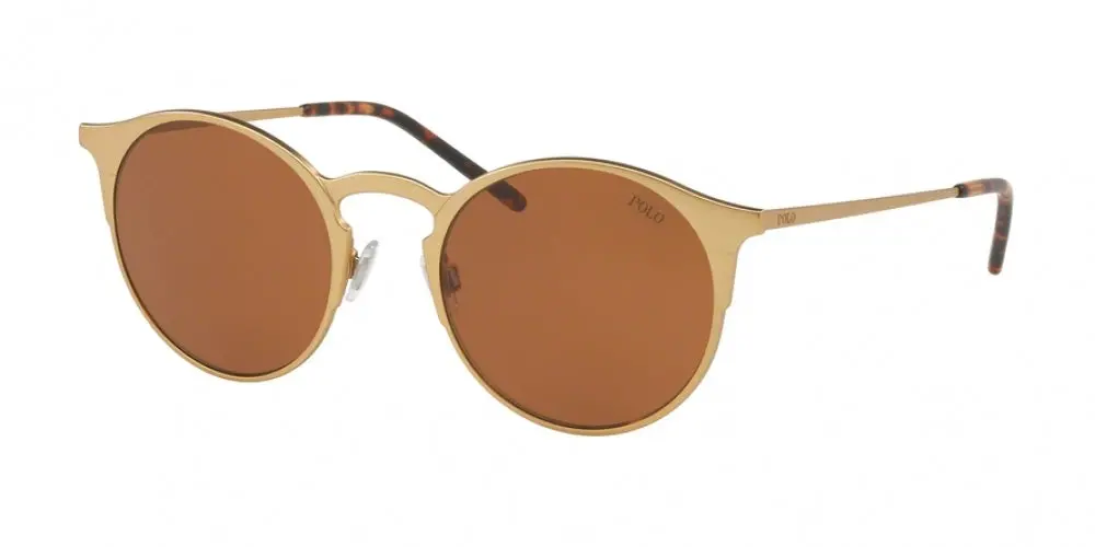 Polo 3113 Sunglasses 1