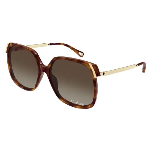 Chloe Ch0286s Sunglasses 1