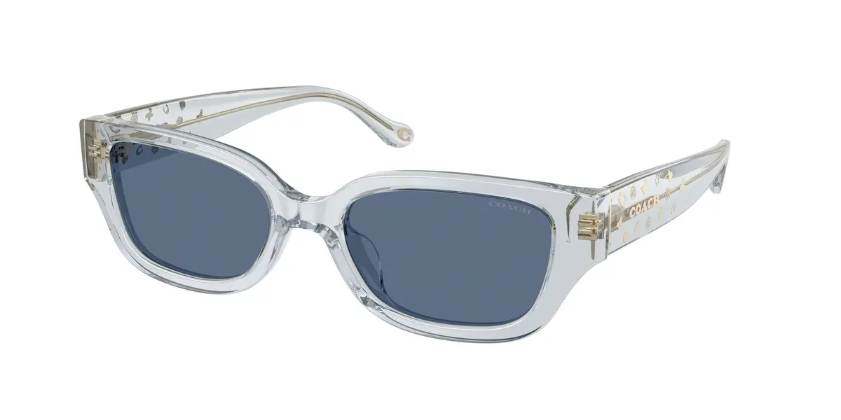Coach Cbz52 8439U Sunglasses 1