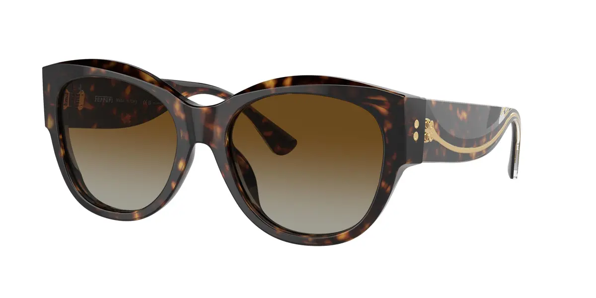 Ferrari 2008U Sunglasses 1