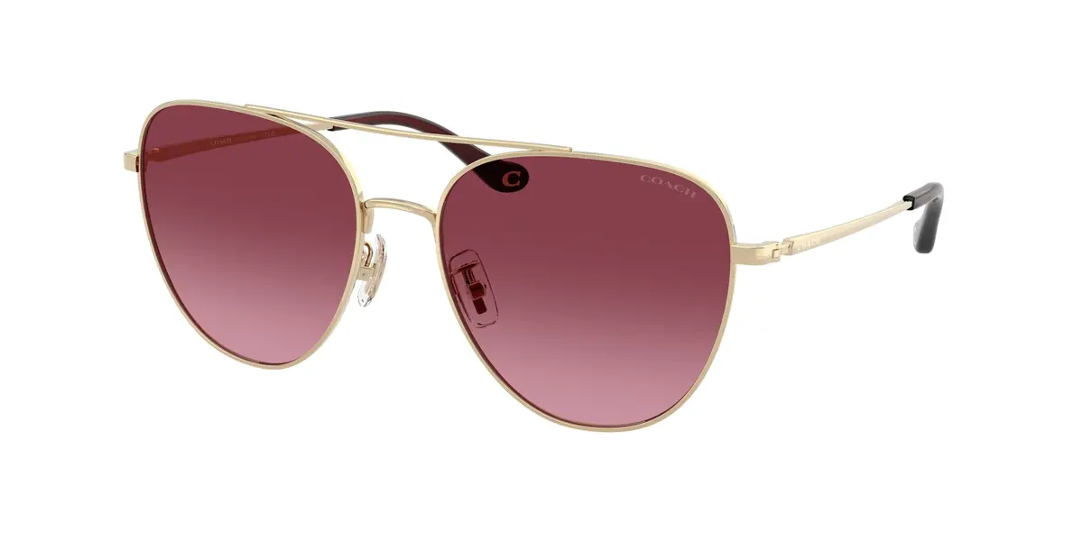 Coach Cbz89 7182 Sunglasses 1