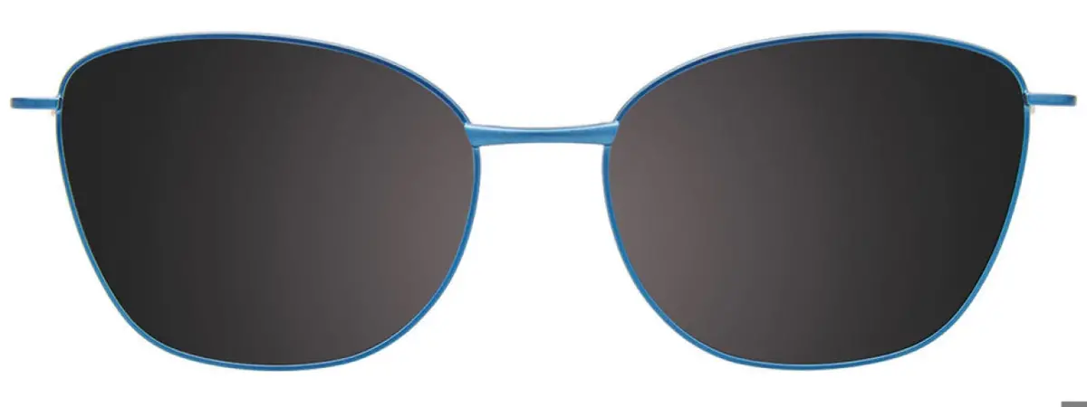 Takumi Tk1210 Eyeglasses 1