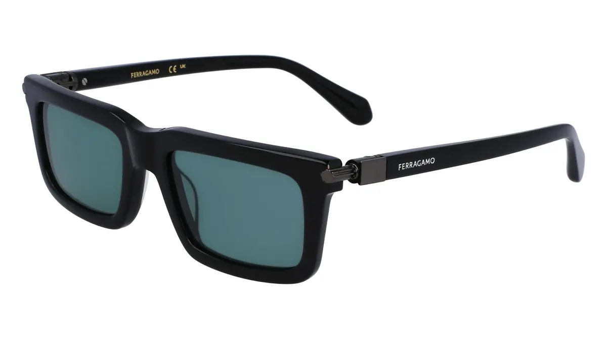 Salvatore Ferragamo Sf2015s Sunglasses 1