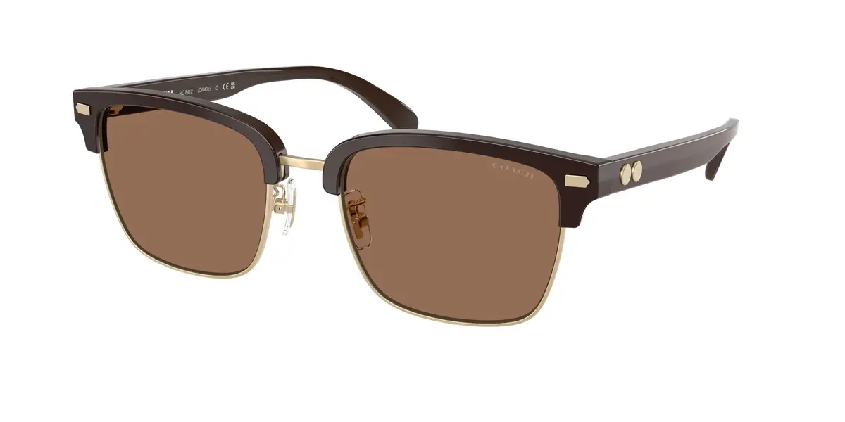 Coach Cw406 8412 Sunglasses 1