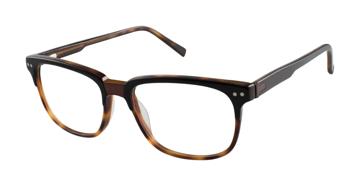 Ted Baker B892 Eyeglasses 1