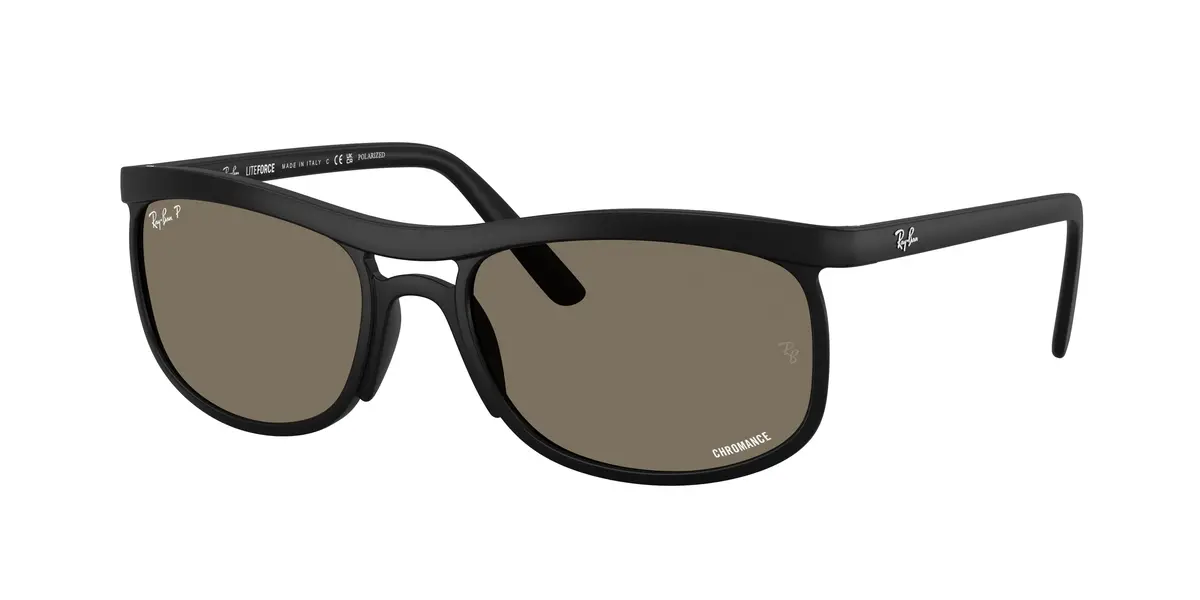 Ray-Ban 4452Ch Sunglasses 1