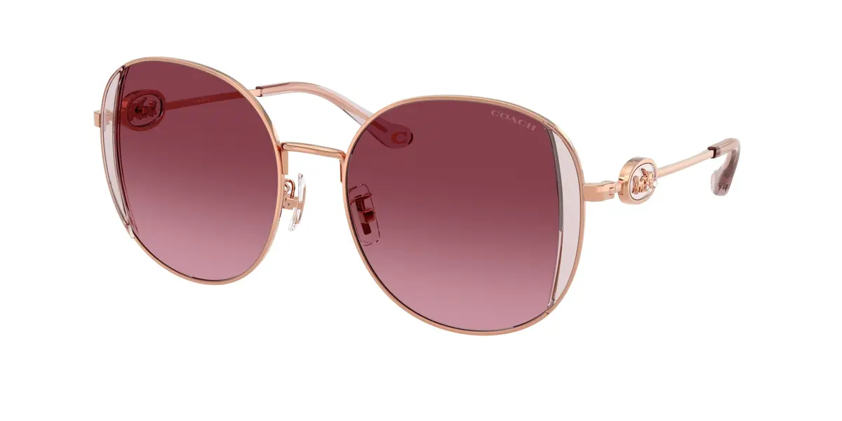 Coach Cad73 7176B Sunglasses 1