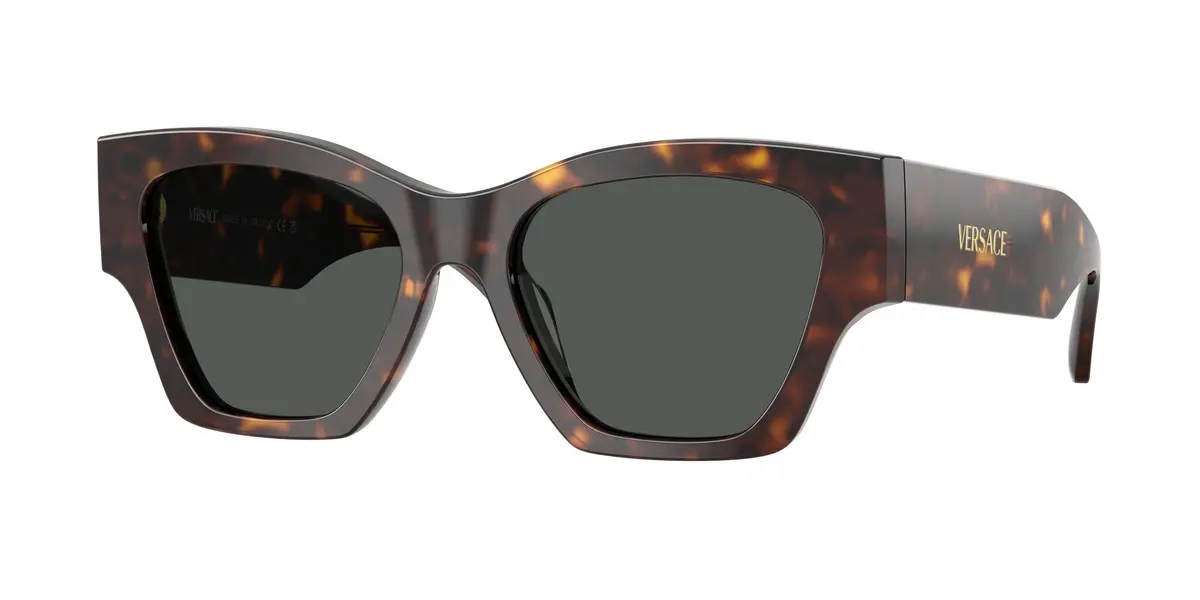 Versace 4492U Sunglasses 1