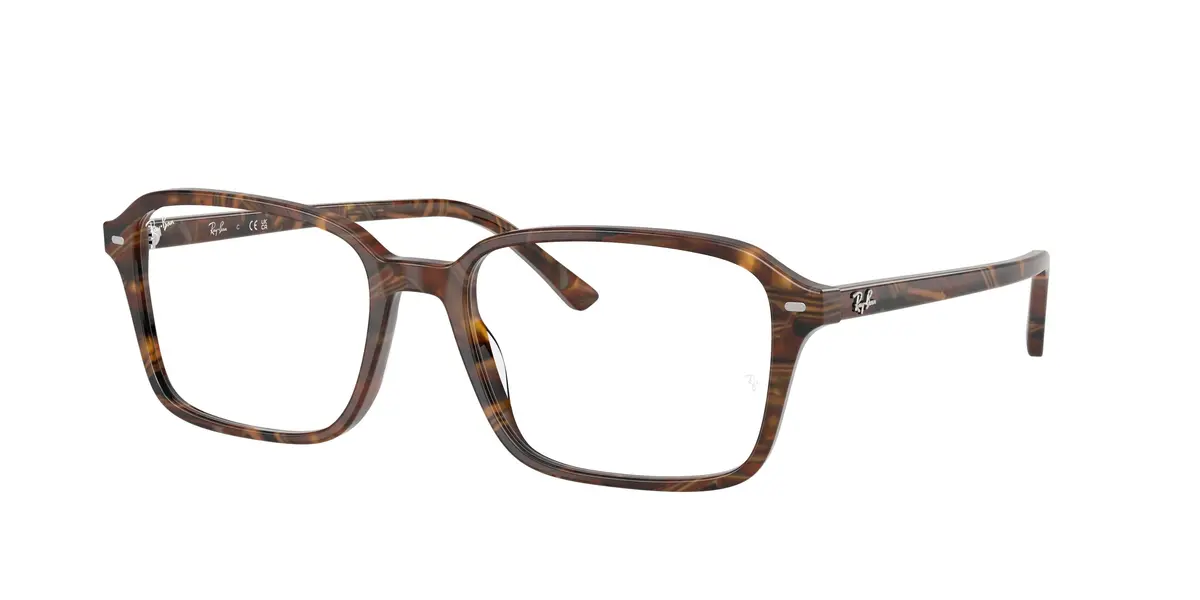 Ray-Ban Raimond 5431F Eyeglasses 1