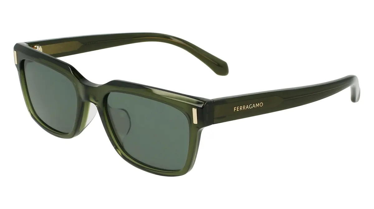 Salvatore Ferragamo Sf2043slb Sunglasses 1