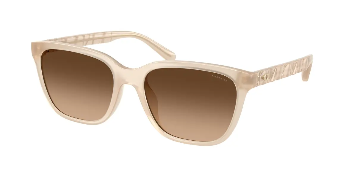 Coach Cae86 8429D Sunglasses 1