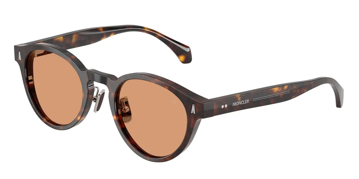Moncler Ember 6017D Sunglasses 1