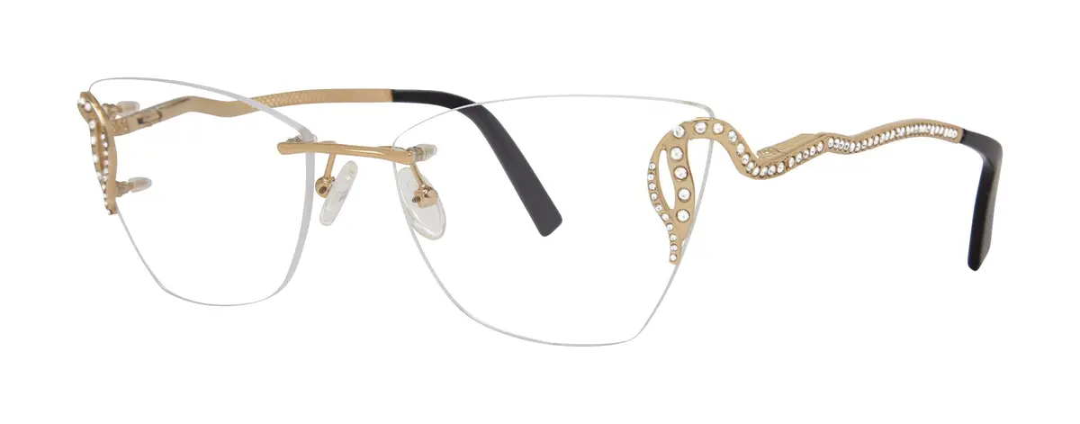 Caviar Caviar2409 Eyeglasses 1
