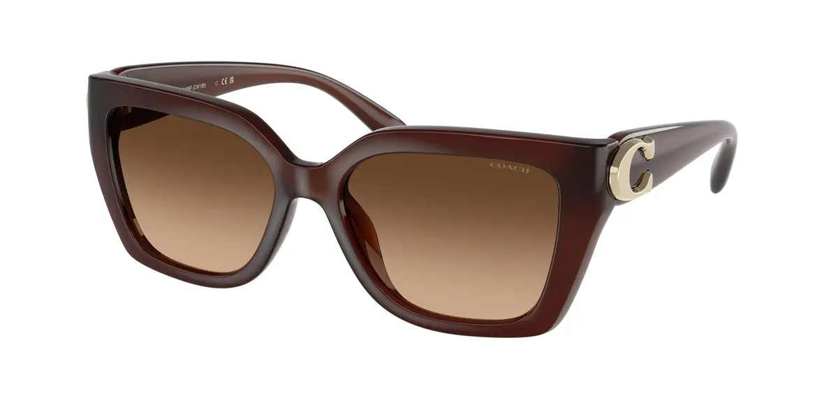 Coach Cw202 8408F Sunglasses 1