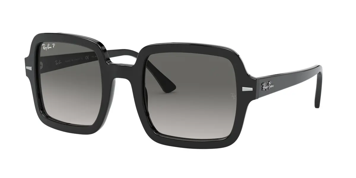 Ray-Ban 2188 Sunglasses 1