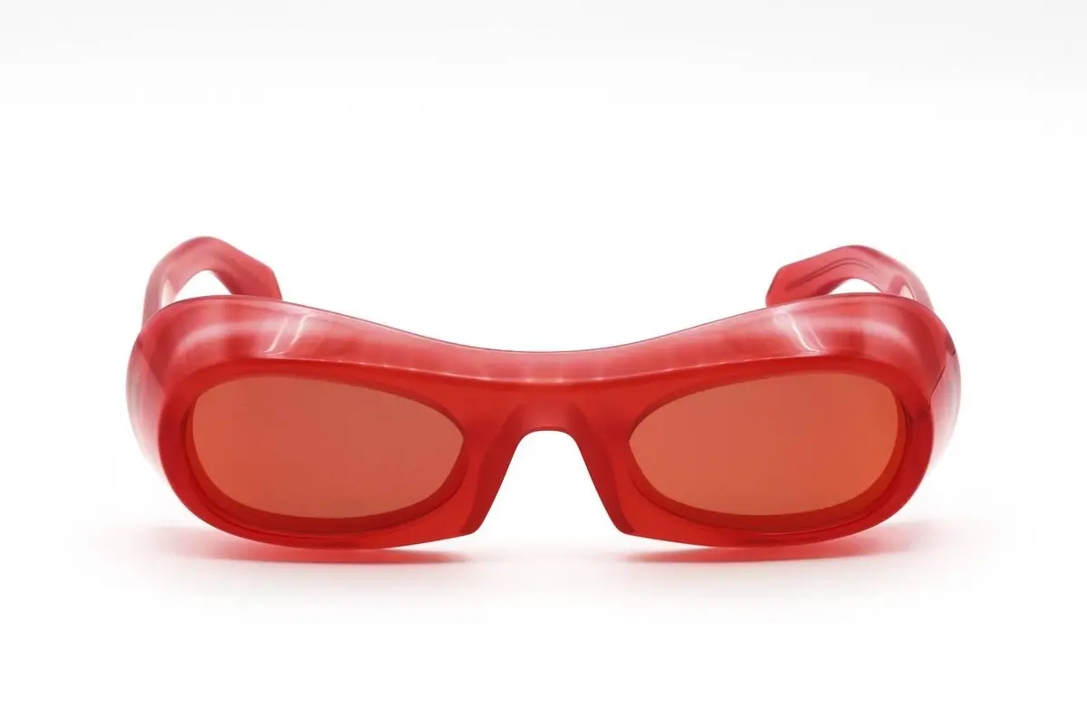 Ferragamo Sf2030s Sunglasses 1