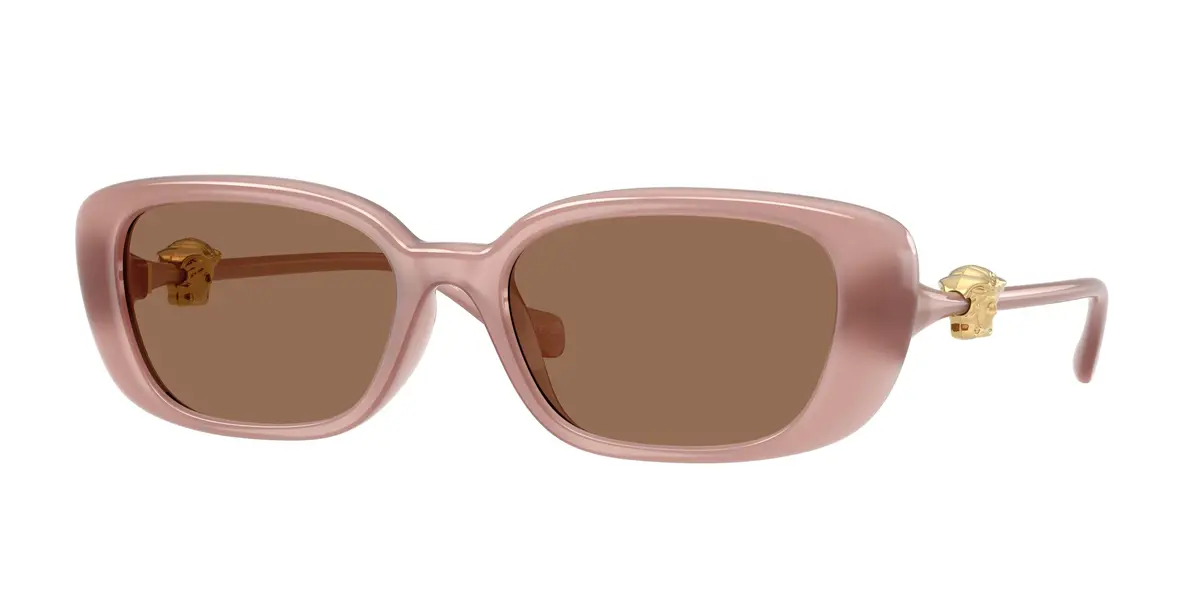 Versace 4504D Sunglasses 1