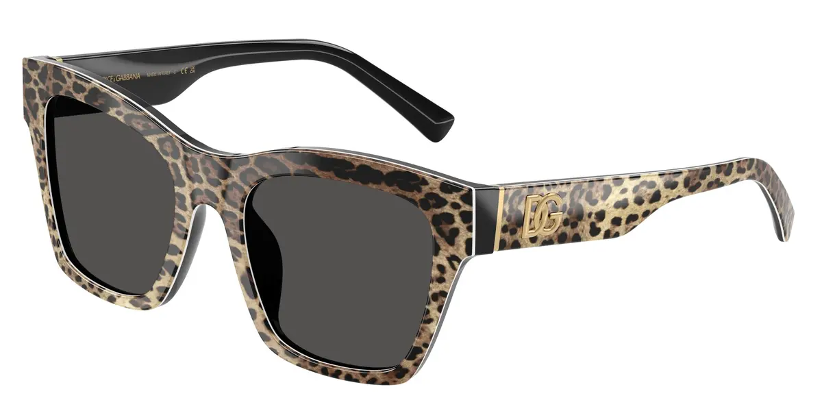 Dolce & Gabbana 4512 Sunglasses 1