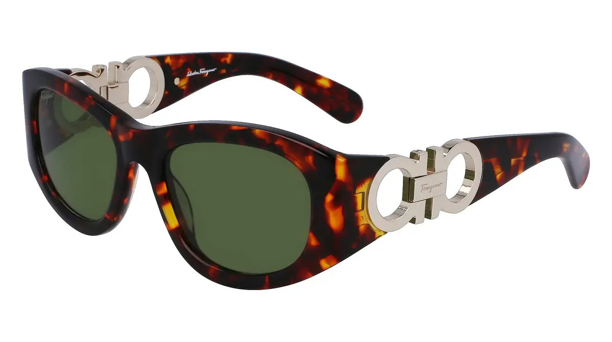 Salvatore Ferragamo Sf1082s Sunglasses 1