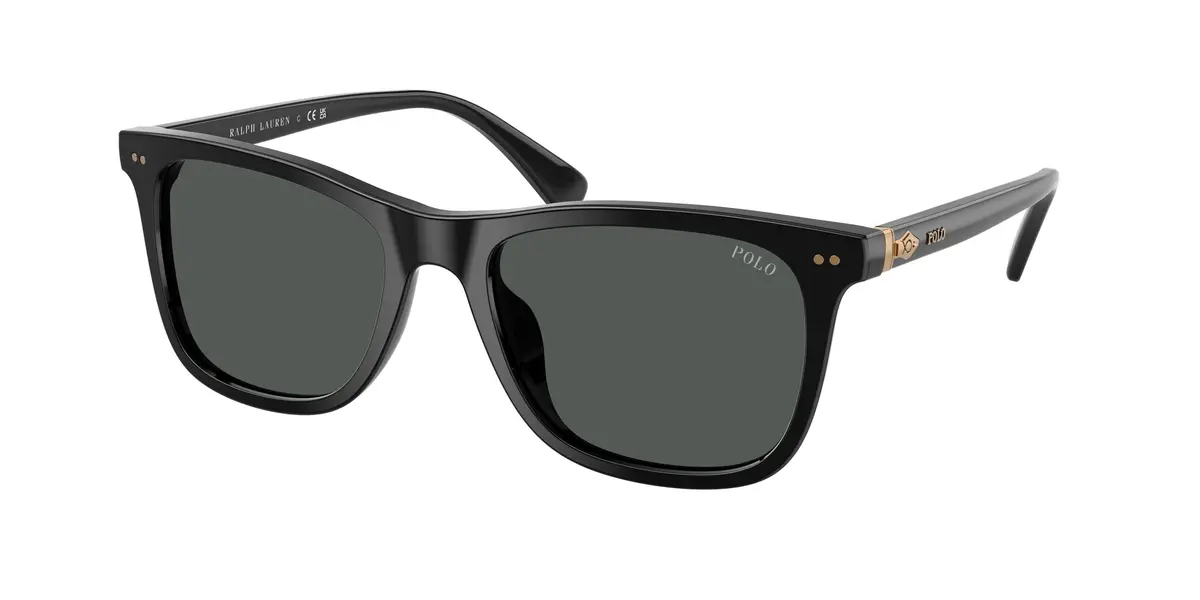 Polo 4220U Sunglasses 1
