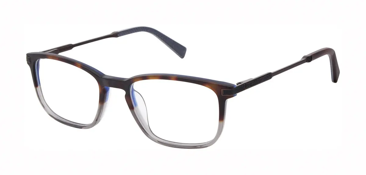 Ted Baker Tfm020 Eyeglasses 1