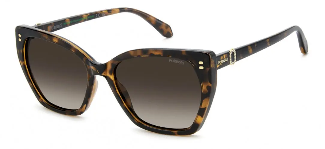 Polaroid Core Pld4198 Sunglasses 1
