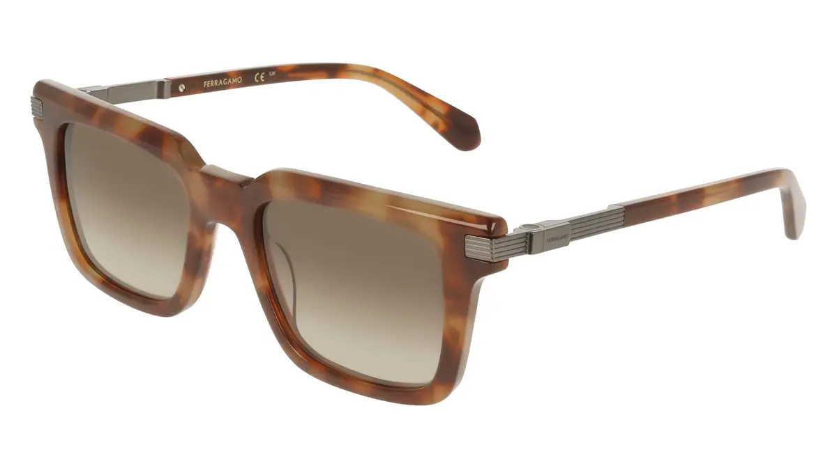 Salvatore Ferragamo Sf2103s Sunglasses 1