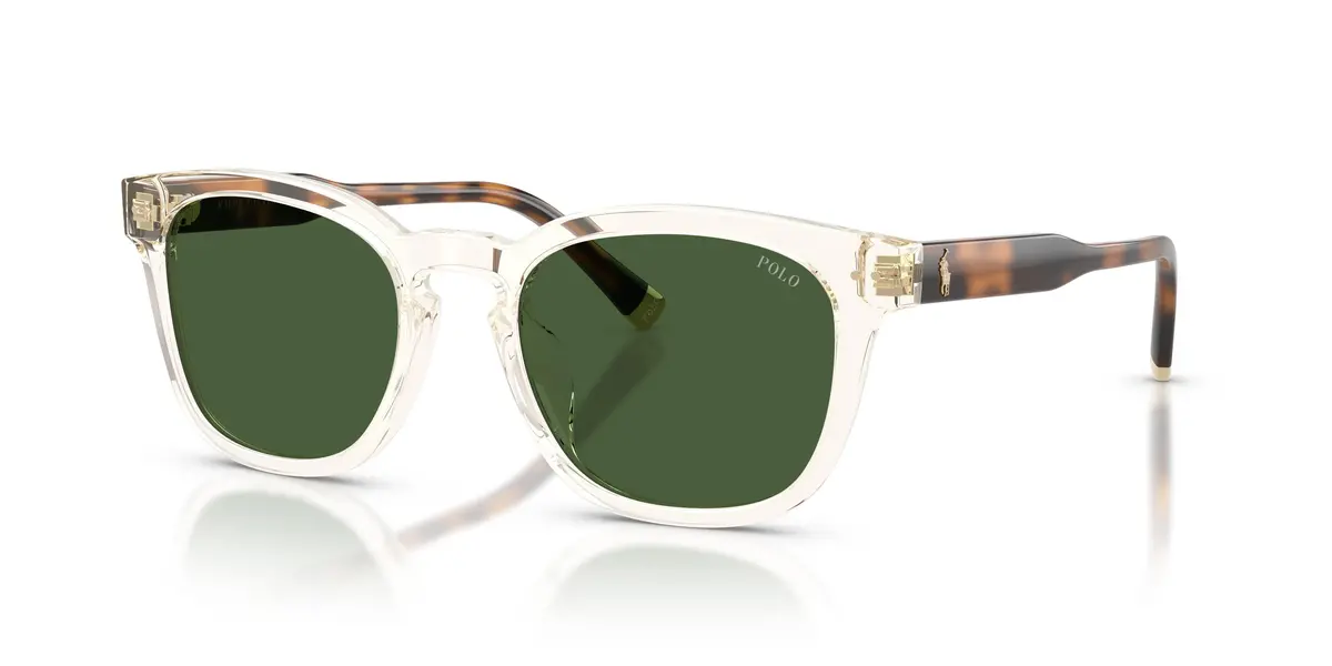 Polo 4242U Sunglasses 1