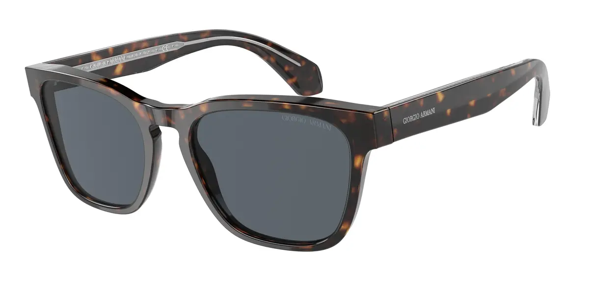 Giorgio Armani 8155F Sunglasses 1